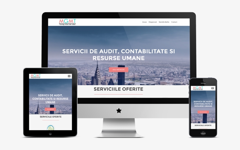 Mgmt Group Presentation Website - New York City, transparent png download
