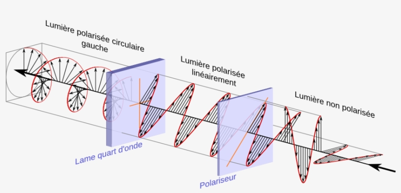 Circular Polarization, transparent png download
