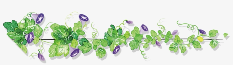 Hand Painted Morning Glory Decoration Vector - Morning Glory, transparent png download