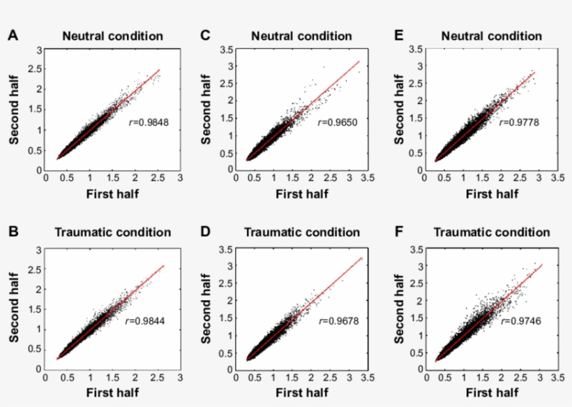 Results Of Block Spit-half Reliability Analyses Of - Diagram, transparent png download