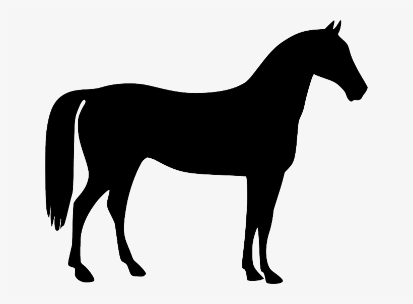 Transportation Horse, Gymnastic Horse, Animal, Riding, - Horse Vector, transparent png download
