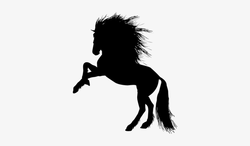 Poster Animals Animal Equine Rearing Horse Silhouette - Stallion Silhouette, transparent png download