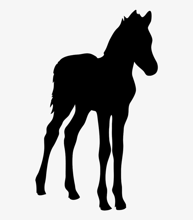 Horse Silhouette - Foal Silhouette, transparent png download