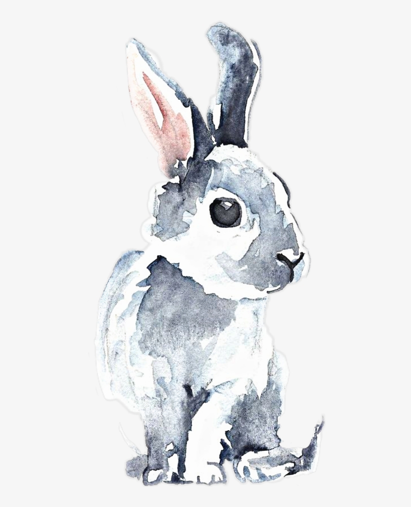 Bunny Aquarelle, transparent png download