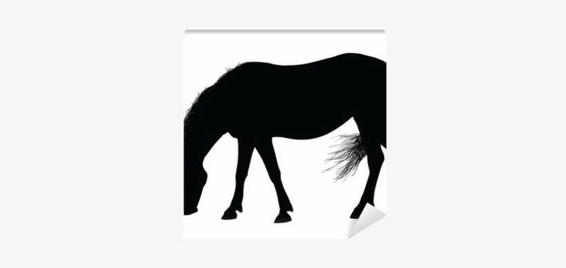 Horse Eating Grass Silhouette, transparent png download