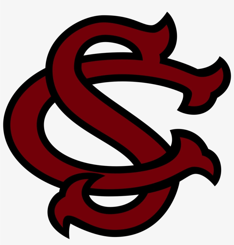 2014-south-carolina-gamecocks-baseball-team-south-carolina-baseball