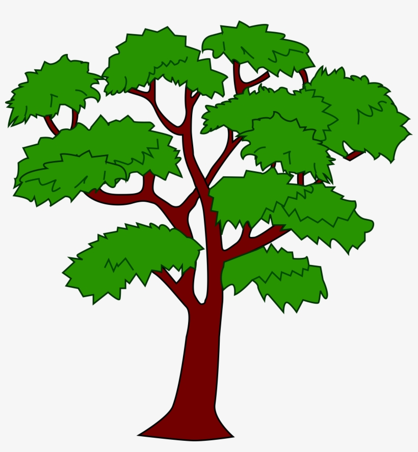 Clipart - Mahogany Tree - Mahogany Tree Of Belize, transparent png download