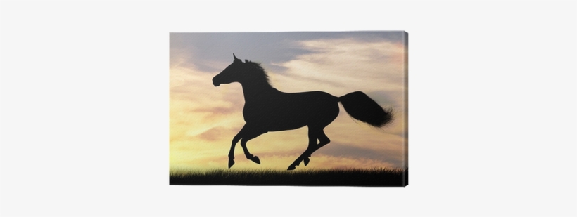 Equestrianism, transparent png download