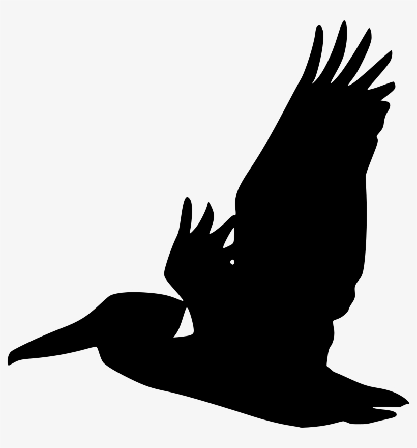 Flying Pelican Silhouette, transparent png download