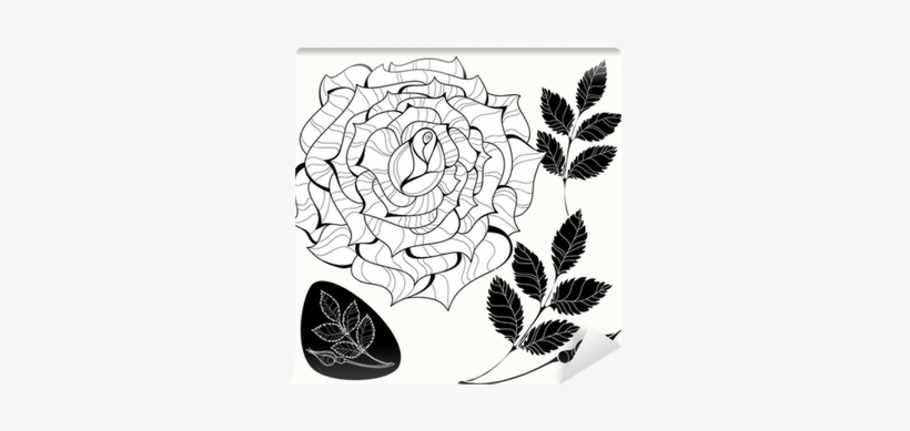 Black, transparent png download