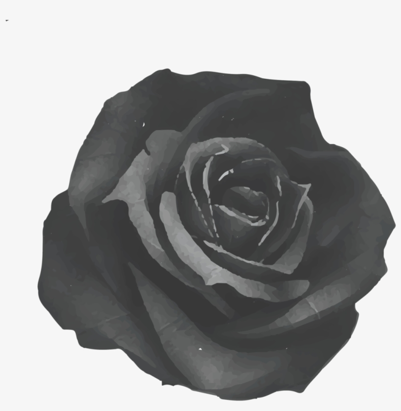 Rose Jkk - Fabric Rose Art Print - Mini By Ruben Ireland, transparent png download