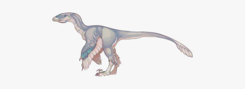 Standalone Image Of Male Deinonychus - Digital Art, transparent png download
