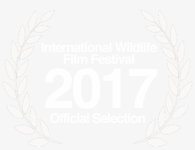 Iwff2017 Laurels - Hamptons International Film Festival Png, transparent png download