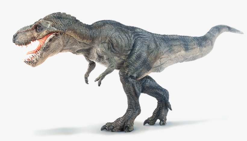 Tyrannosaurus T Rex, transparent png download