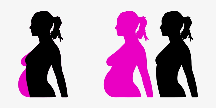 1 - Pregnant Clip Art, transparent png download