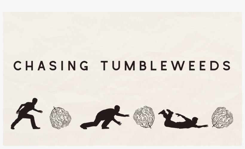 In Life It Often Feels Like We Are Chasing Chasing - Badminton, transparent png download