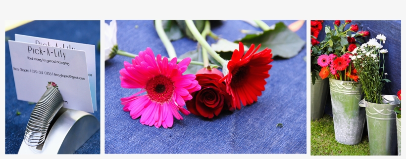 My Name Is Thea And My Team And I Run Exciting Diy - Pic-a-lilli Inn, transparent png download