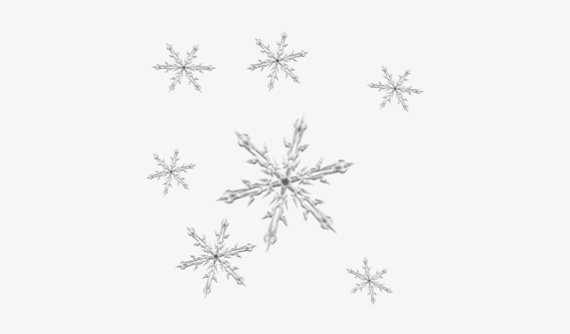 Sf Sd1 444 X - Line Art, transparent png download