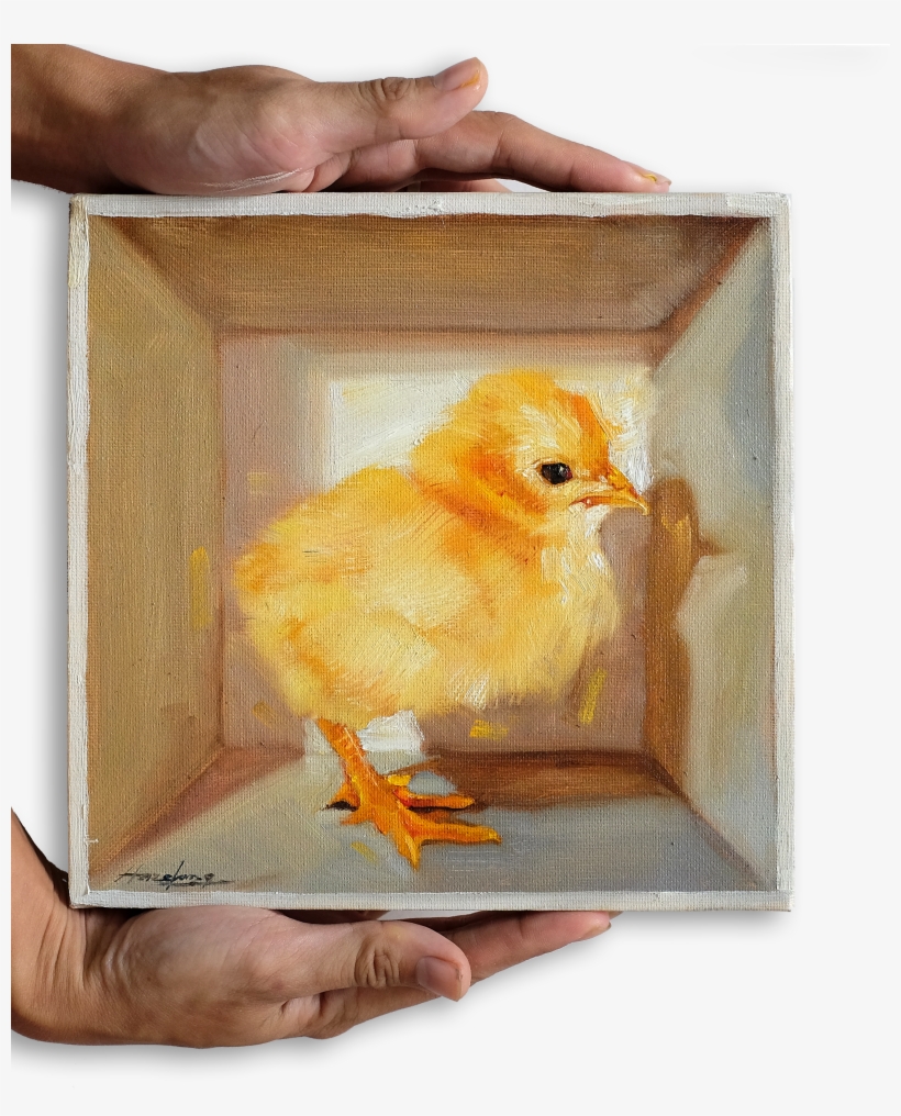 Chick - Chicken, transparent png download