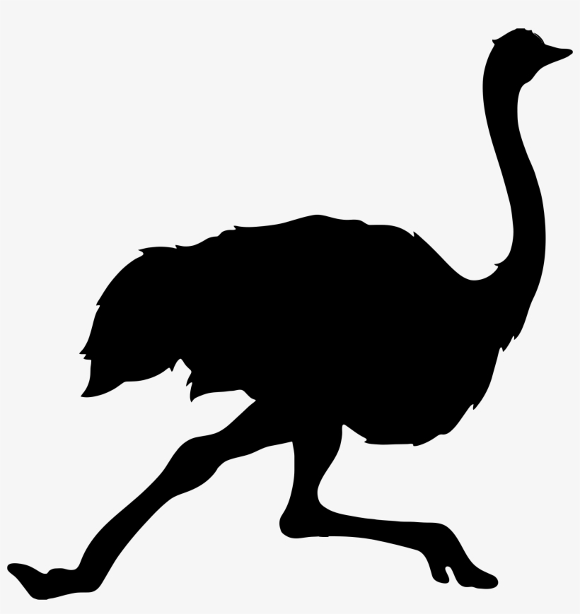 This Free Icons Png Design Of Running Ostrich Silhouette, transparent png download