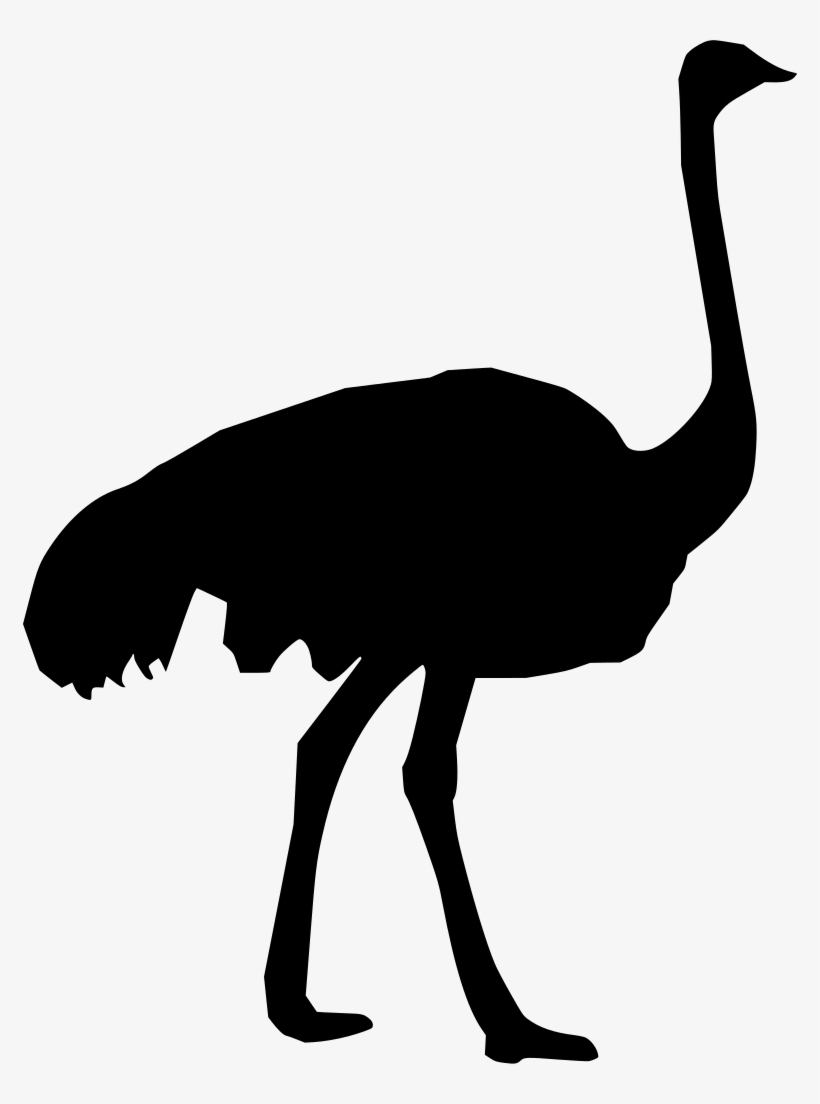 Download Png - Ostrich Silhouette, transparent png download