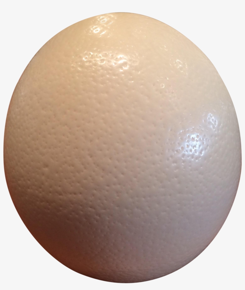 Ostrich Eggs Png Image Black And White Stock - Biohazard Icon, transparent png download