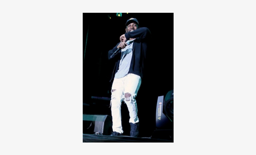 Cheap Authentic Kendrick Lamar Rocks Reebok Ventilator - Outside Lands Music And Arts Festival, transparent png download