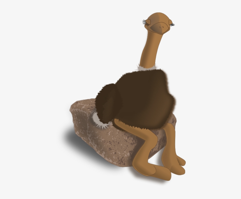 Original Png Clip Art File Ostrich Svg Images Downloading, transparent png download