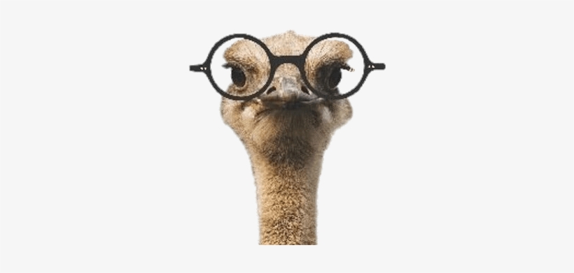 Ozzie The Ostrich Wearing Glasses - Comic Verse For Men And Curious Women, transparent png download