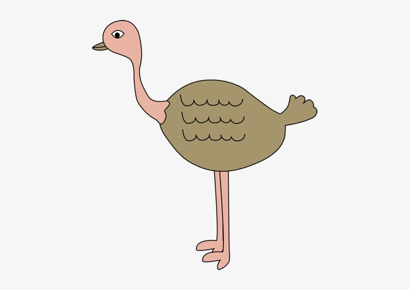 Ostrich Clip Art - My Cute Graphics Ostrich, transparent png download
