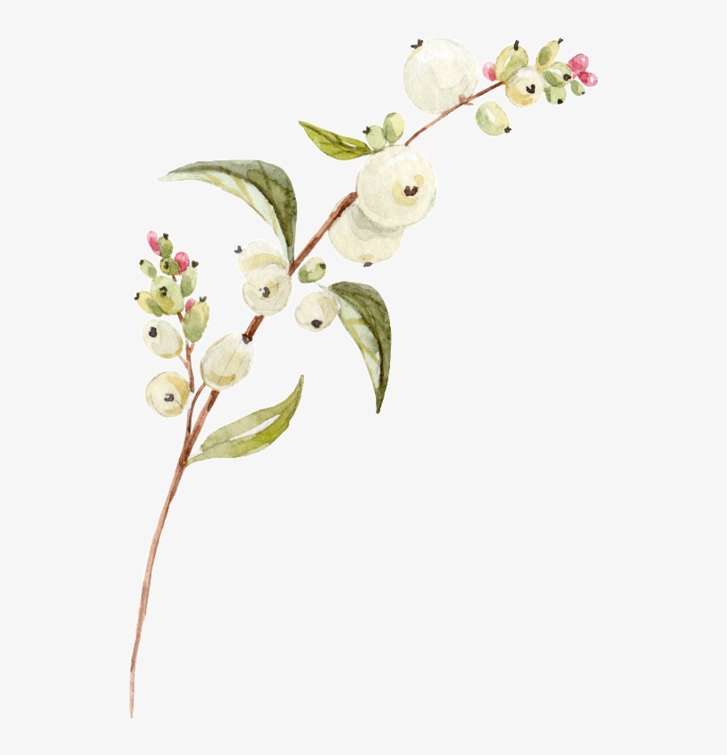 White Flower Png Transparent - Portable Network Graphics, transparent png download