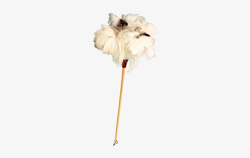 Ostrich Feather Duster - Redecker Special White Ostrich Feather Duster, transparent png download