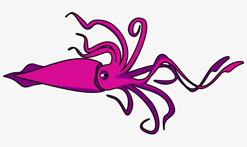 Squid Clipart, transparent png download