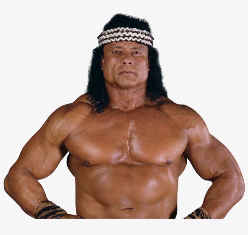 Post By "mr Wonderdick" Dick Dastardly On Apr 26, 2016 - Barechested, transparent png download