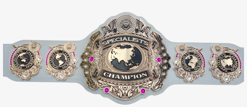New Vixens-exclusive Title Coming To Eaw, Dynasty Wrestling - Wrestling Mid Card Titles, transparent png download