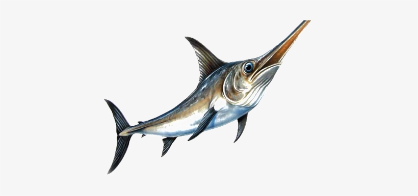 Site Logo - Deep Sea Fishing Png, transparent png download