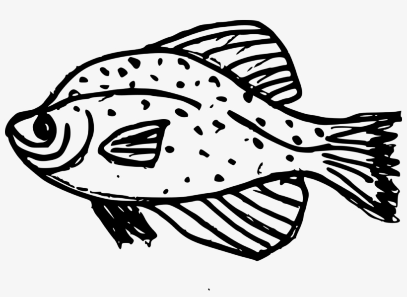 Vector Royalty Free Fish Png Transparent Onlygfx Com - Drawing, transparent png download