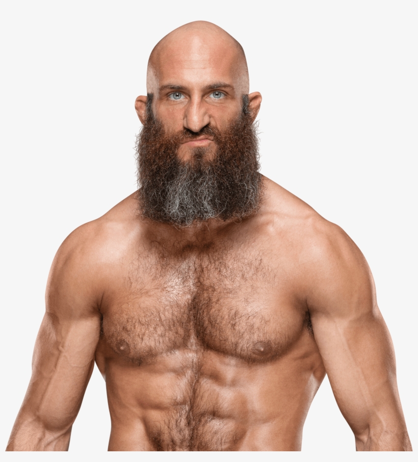 Tommaso Ciampa Nxt Champion Png, transparent png download
