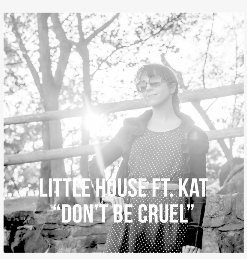 Artist Photo Little House Ft Kat Cruel W Text W Border, transparent png download