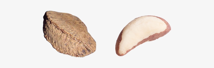 A Conical Sand Pile Will Exert The Highest Pressure - One Brazilian Nut, transparent png download