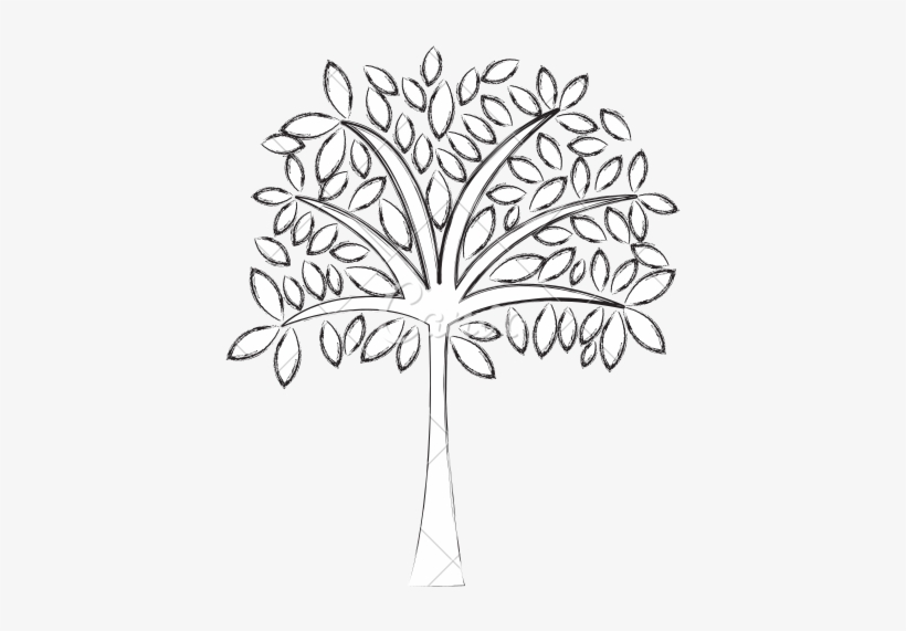 Cartoon Tree Drawing At Getdrawings - Draw Tree, transparent png download