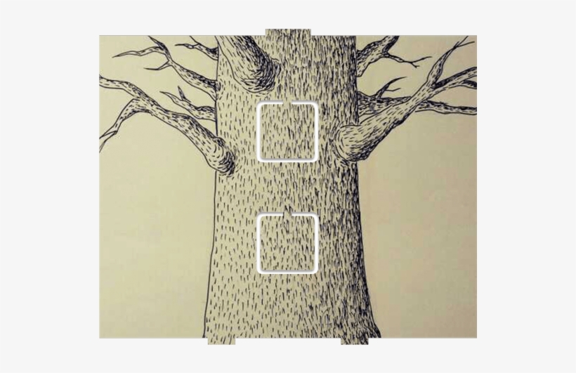Tree Sketch - 2 On/off - Adansonia, transparent png download