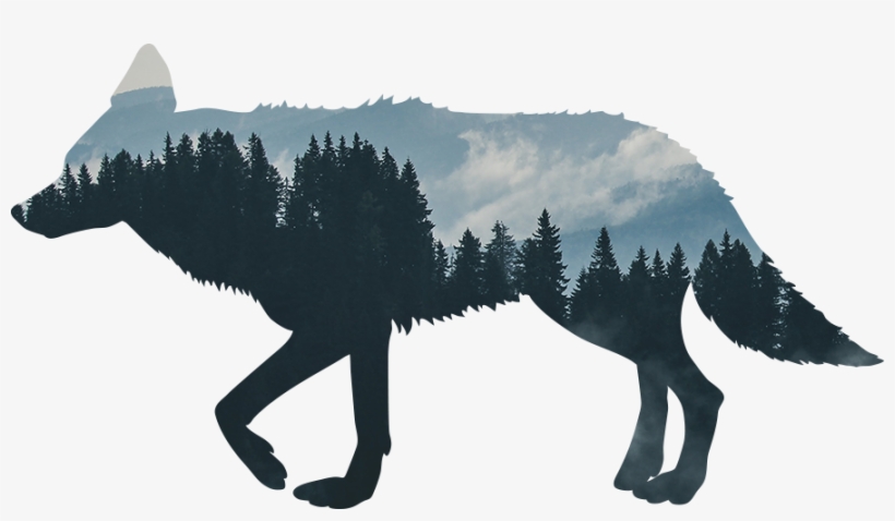 Visit Our Store - Coyote Silhouette, transparent png download