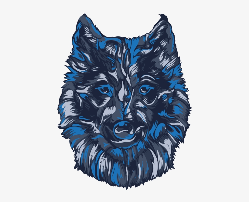 Coyote - Wolfdog, transparent png download