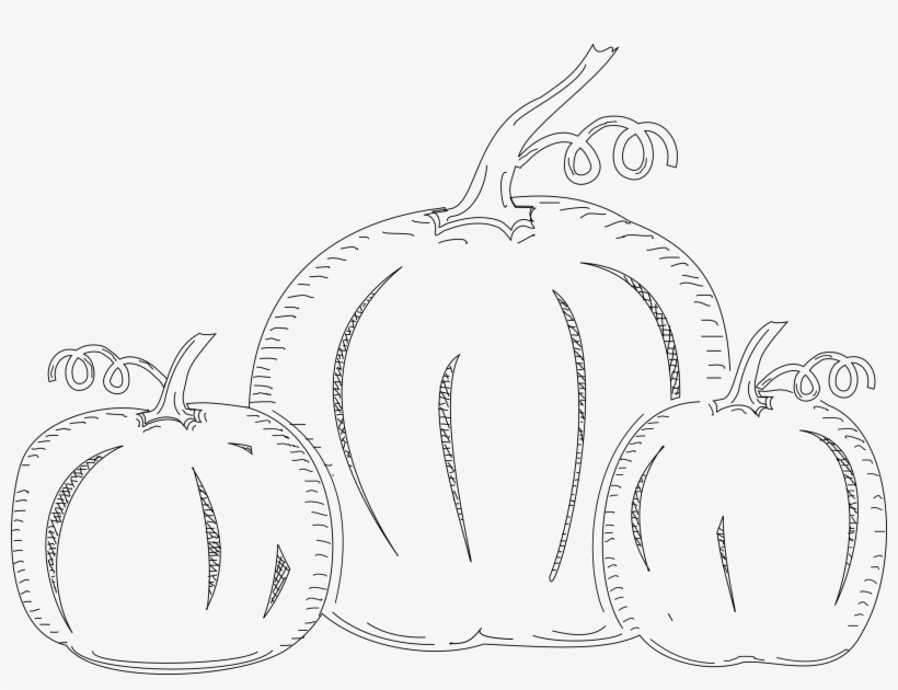 Create Sketches With Inkscape - Line Art, transparent png download