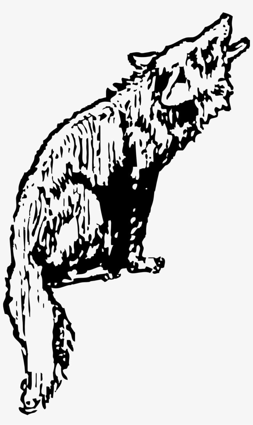 Coyote Svg Clip Arts 366 X 597 Px, transparent png download
