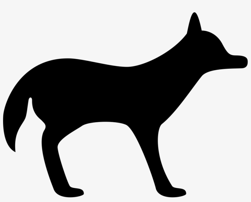 Coyote Facing Right Comments - Transparent Background Horse Silhouette Png, transparent png download