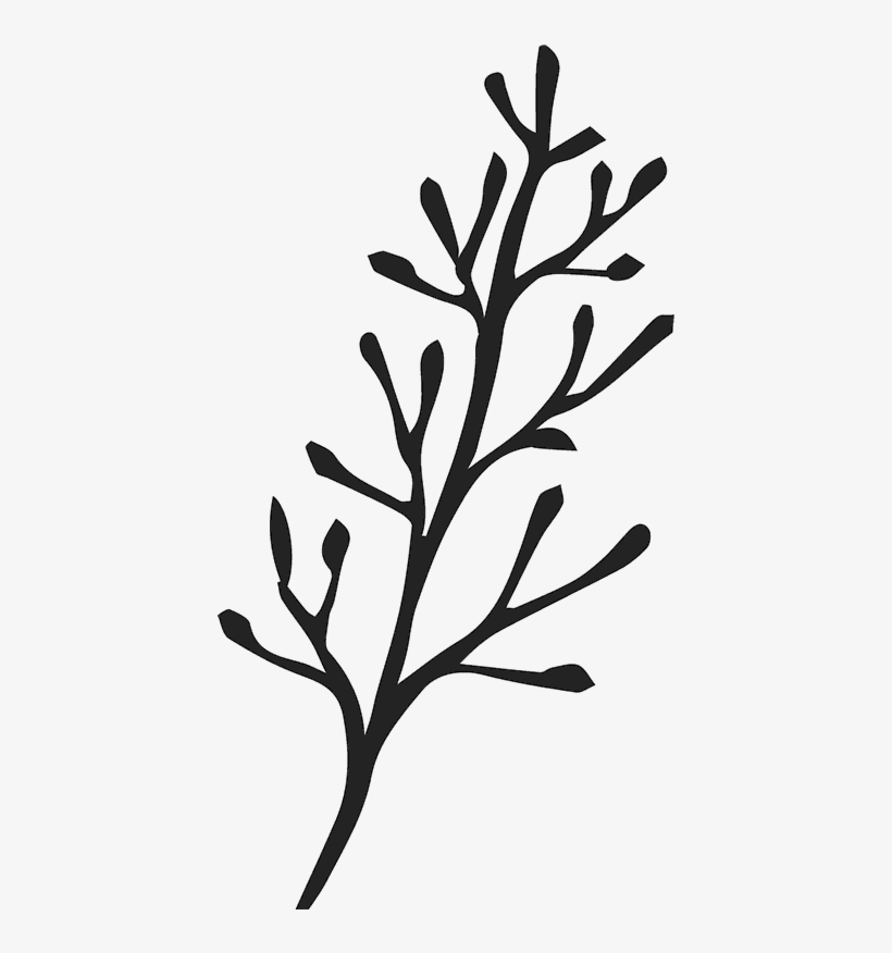 Bare Branch Sketch Rubber Stamp - Rubber Stamp, transparent png download