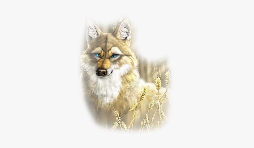 Coyote - Wolf, transparent png download