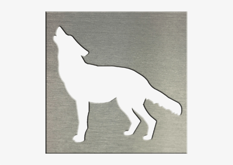Coyote - Wolf, transparent png download